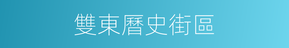 雙東曆史街區的同義詞