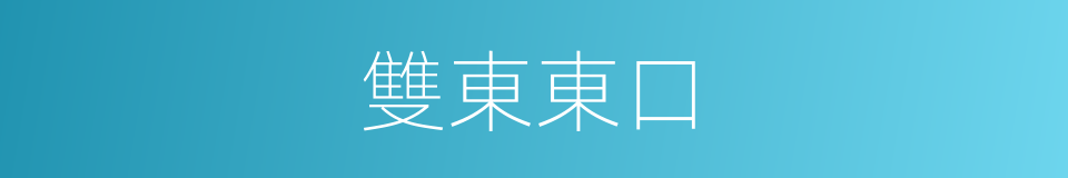 雙東東口的同義詞