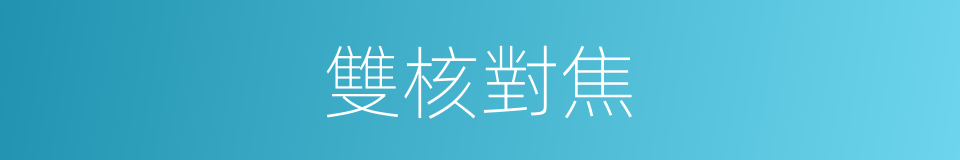 雙核對焦的同義詞