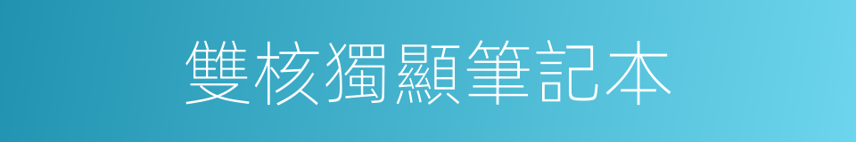 雙核獨顯筆記本的同義詞