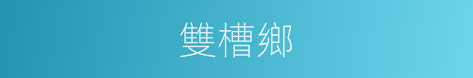 雙槽鄉的同義詞