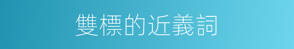 雙標的近義詞的同義詞