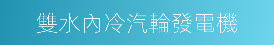 雙水內冷汽輪發電機的同義詞