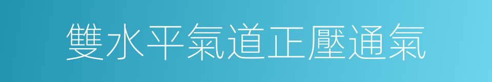 雙水平氣道正壓通氣的同義詞