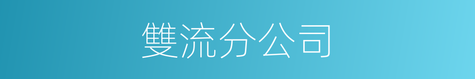 雙流分公司的同義詞