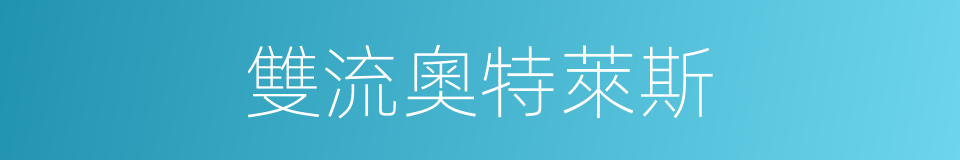 雙流奧特萊斯的同義詞