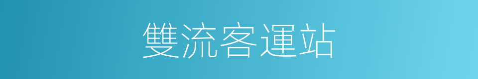 雙流客運站的同義詞