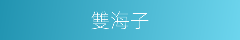 雙海子的同義詞
