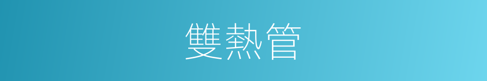 雙熱管的同義詞