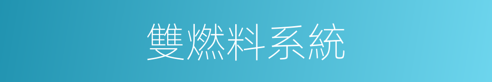 雙燃料系統的同義詞