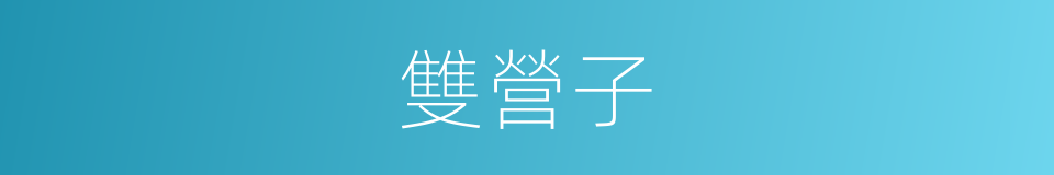 雙營子的同義詞