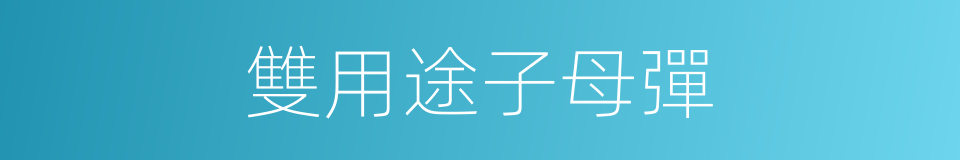 雙用途子母彈的同義詞