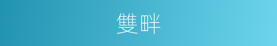 雙畔的同義詞