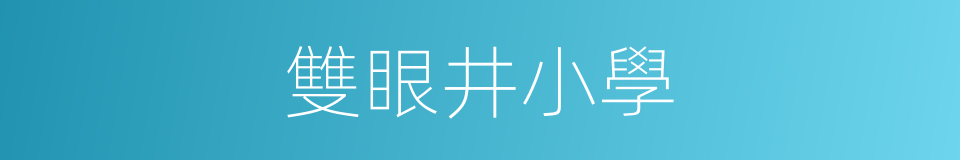 雙眼井小學的同義詞