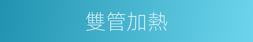 雙管加熱的同義詞