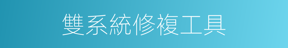 雙系統修複工具的同義詞