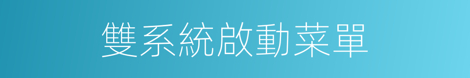 雙系統啟動菜單的同義詞