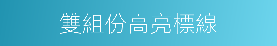 雙組份高亮標線的同義詞