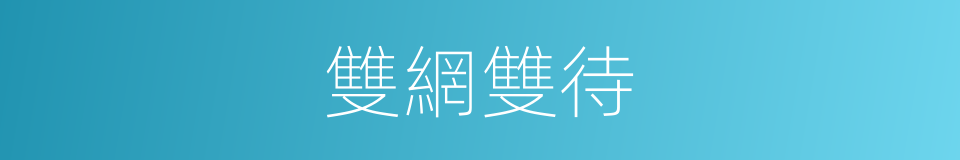 雙網雙待的同義詞