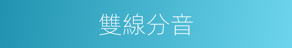 雙線分音的同義詞