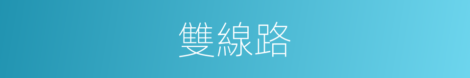 雙線路的同義詞