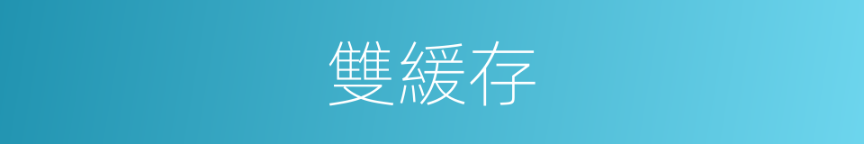 雙緩存的同義詞