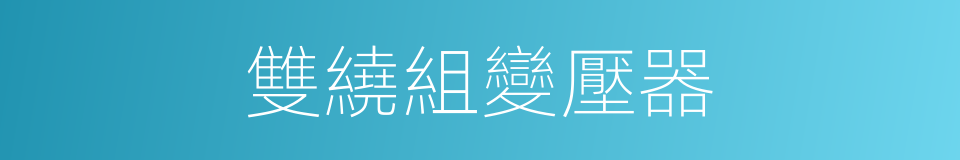 雙繞組變壓器的同義詞