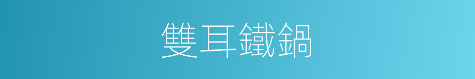 雙耳鐵鍋的同義詞