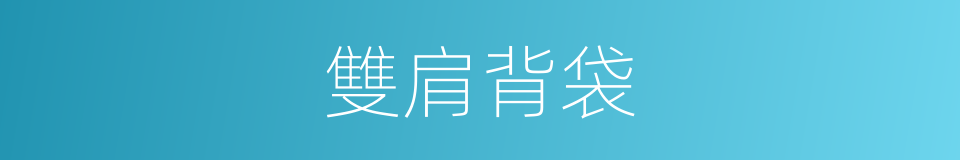 雙肩背袋的同義詞