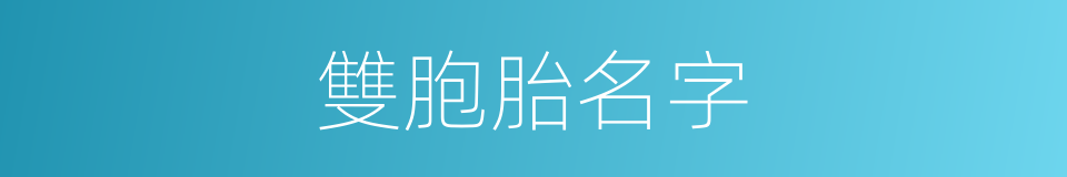 雙胞胎名字的同義詞