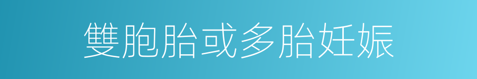 雙胞胎或多胎妊娠的同義詞