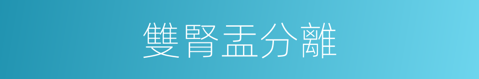 雙腎盂分離的同義詞