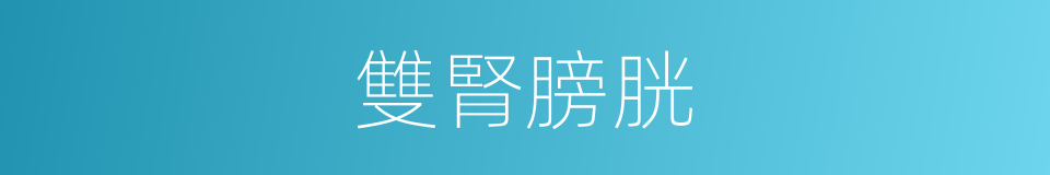 雙腎膀胱的同義詞