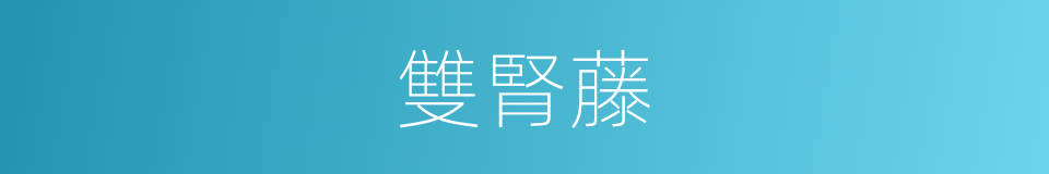 雙腎藤的同義詞