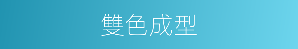 雙色成型的同義詞