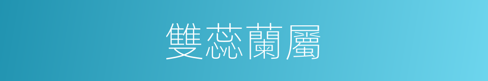 雙蕊蘭屬的同義詞
