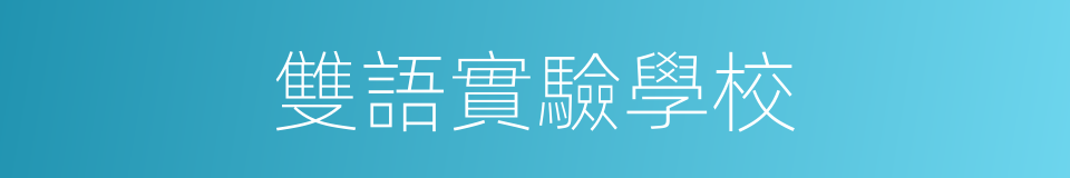 雙語實驗學校的同義詞
