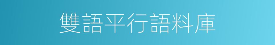 雙語平行語料庫的同義詞