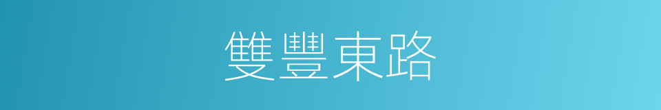 雙豐東路的同義詞