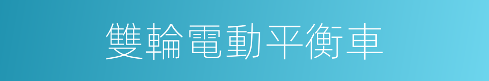 雙輪電動平衡車的同義詞