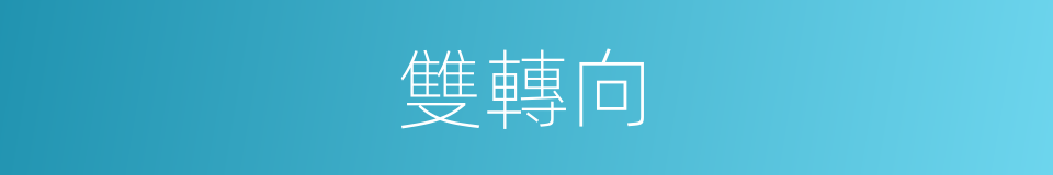 雙轉向的同義詞