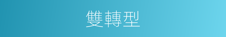雙轉型的同義詞