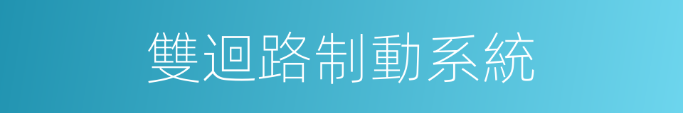 雙迴路制動系統的同義詞