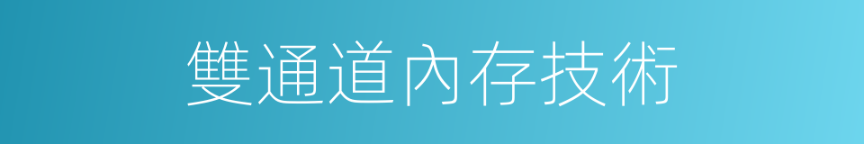 雙通道內存技術的同義詞