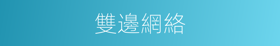 雙邊網絡的同義詞