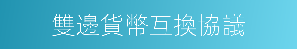 雙邊貨幣互換協議的同義詞