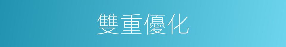 雙重優化的同義詞