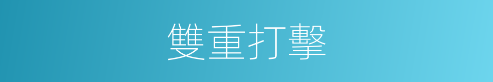 雙重打擊的同義詞