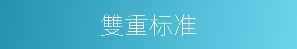 雙重标准的意思