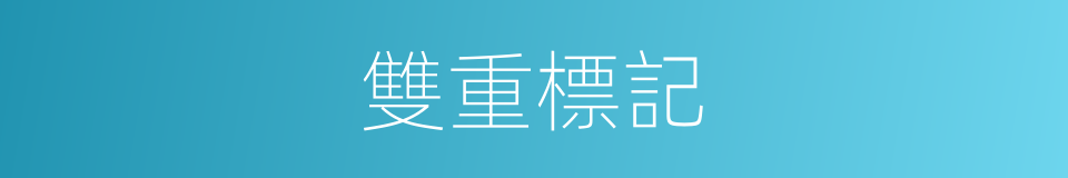 雙重標記的同義詞